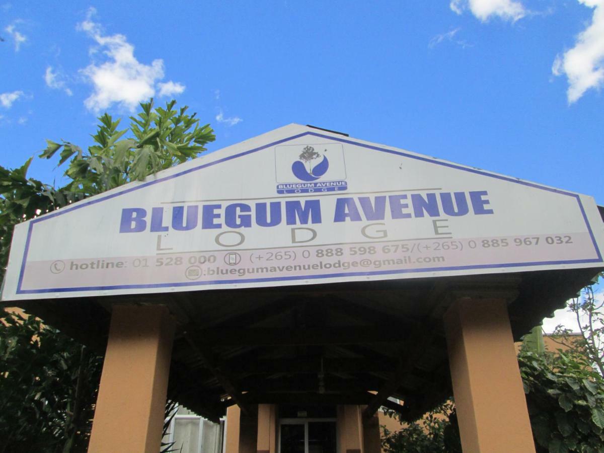 Bluegum Avenue Lodge Zomba Exterior photo